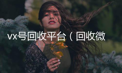 vx号回收平高价回收vx秒结平台台(回收微信号交易平台)